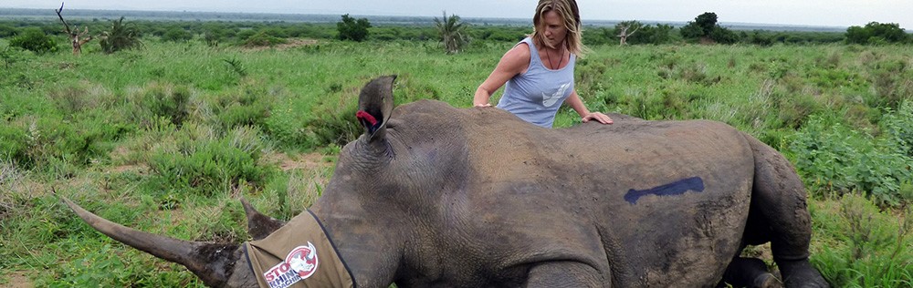 Walking with Rhinos 